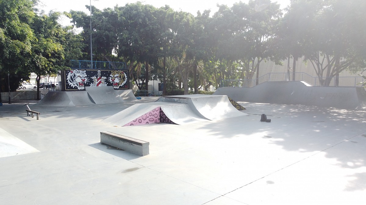 Monopatines skatepark